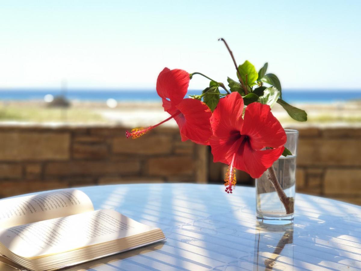 Kyma Apartments - Naxos Agios Prokopios Екстер'єр фото