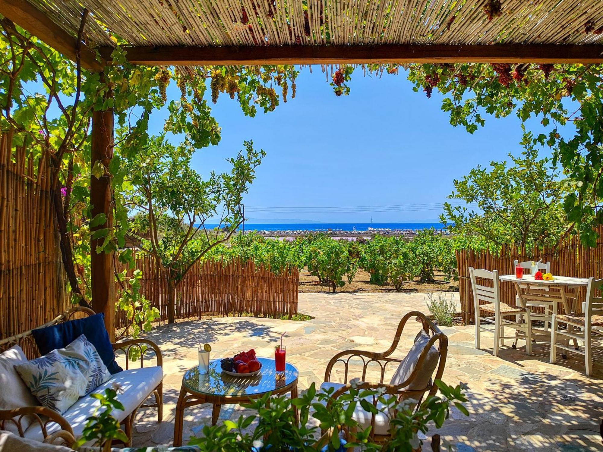 Kyma Apartments - Naxos Agios Prokopios Екстер'єр фото